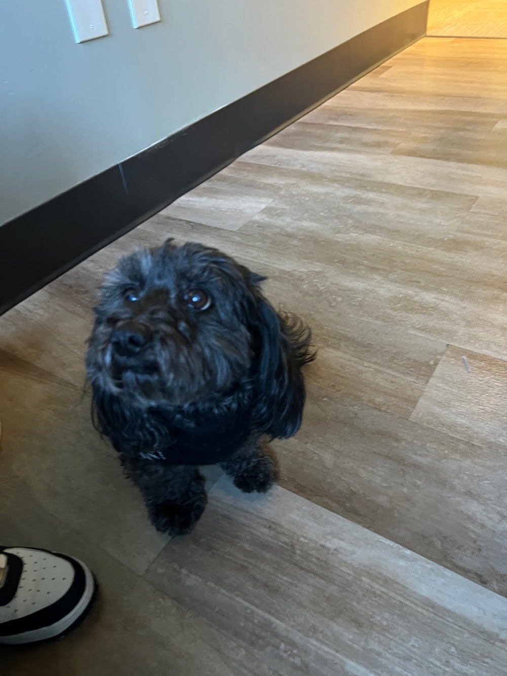 Centre For Holistic And Biological Dentistry