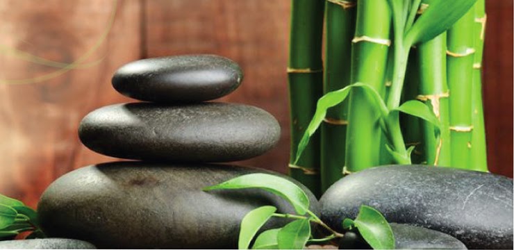 Foot Reflexology Massage & Holistic Therapy