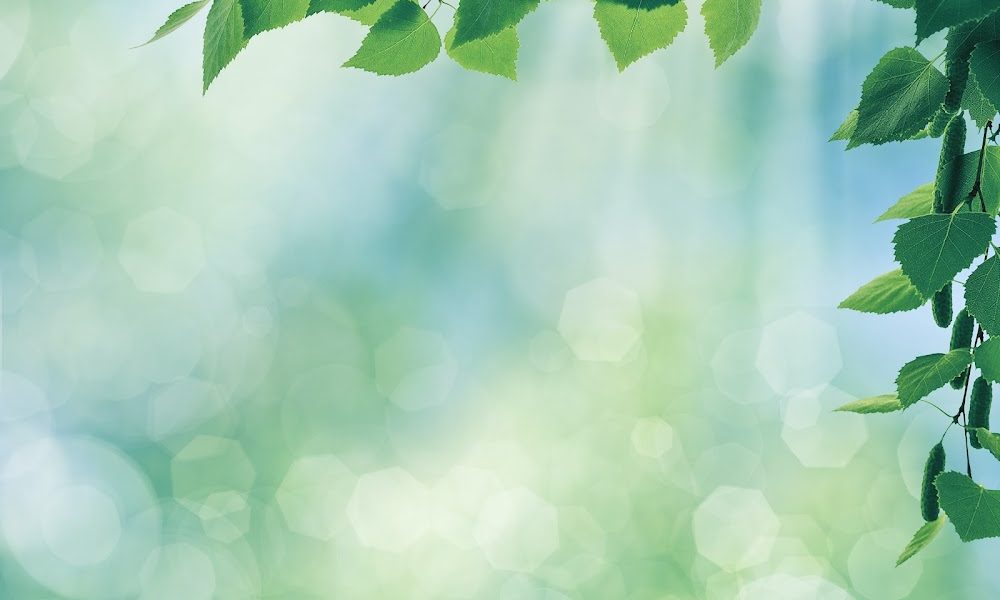 Synergy Wellness Spa